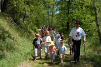 Wanderung durch den Märchenwald - 13,9/110,0 KB