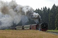 Zug vor Benneckenstein - 8,7/58,7 KB