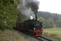 Zug vor Ramberg - 9,92/60,9 KB