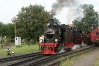 996101 im Bf Gernrode - 10,4/77,9 KB