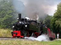 Planzug N 8965 (Gernrode – Hasselfelde) mit Vorspannlok Lok Nr. 105 (Museumsbahn Blony – Champy / Schweiz) und Lok 99 6001 der HSB kurz hinter dem Haltepunkt Sternhaus Haferfeld (12.08.2012)