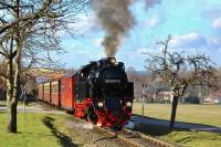 Lok 99 6001 mit Zug 8965 nach Hasselfelde am 16.02.2014 beim Bahnübergang Osterallee Gernrode