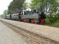 Ankunft des Sonderzuges der HSB mit Lok 99 5901 im Bahnhof Stiege