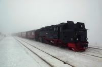 Sonderzug des FKS mit Lok 99 7239 im Bahnhof Brocken