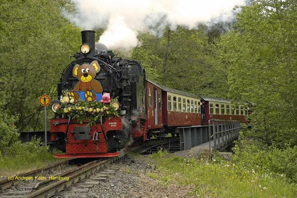 Teddyb&auml;rzug