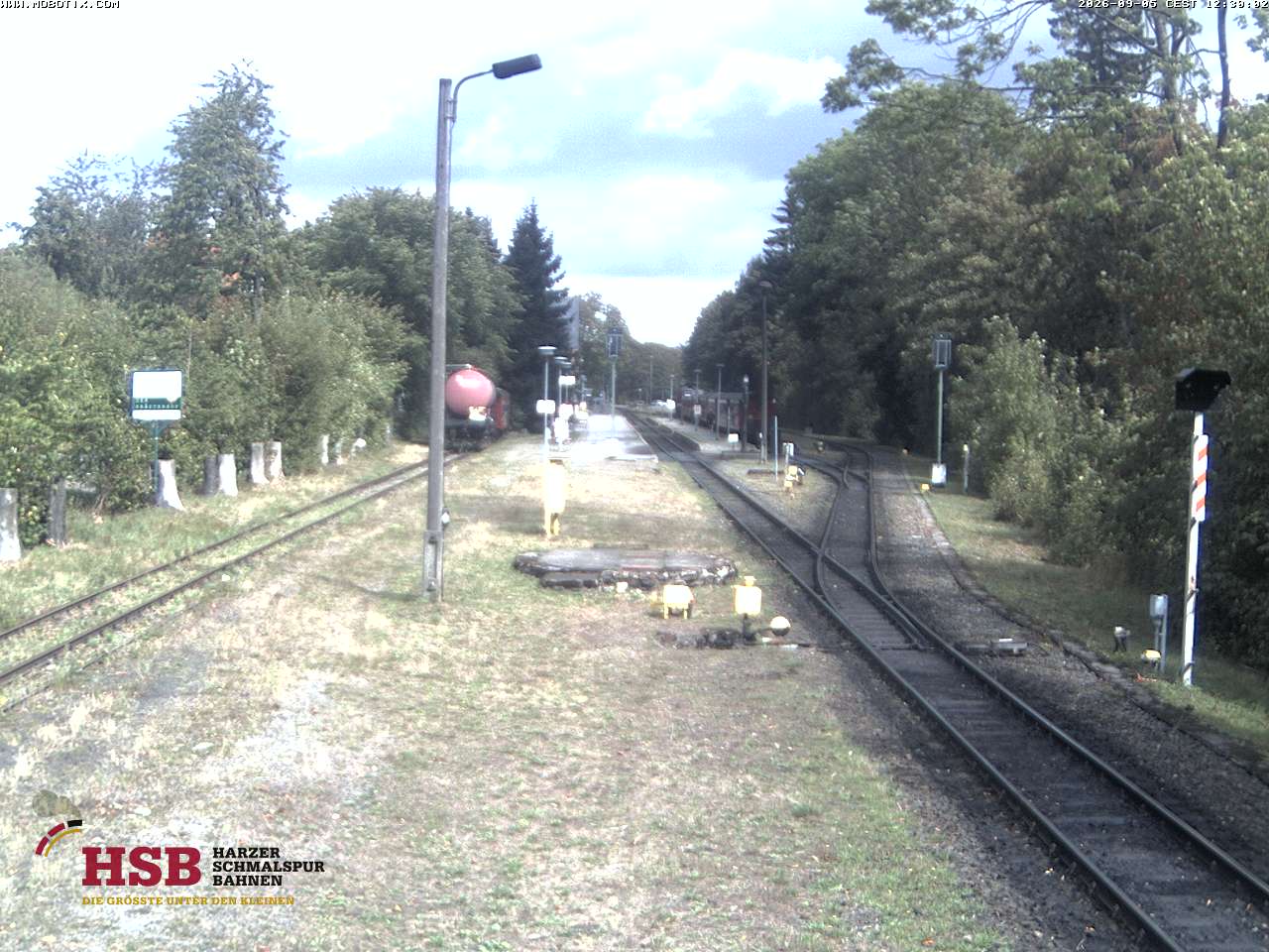 WebCam-Foto