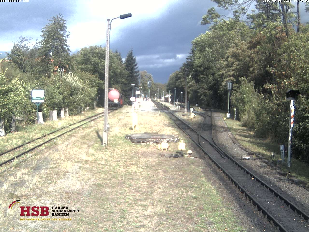 WebCam-Foto